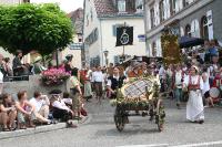 IMG_6508 (2) 